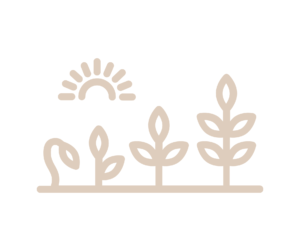 Copie de Copie de Copie de 1 (2)