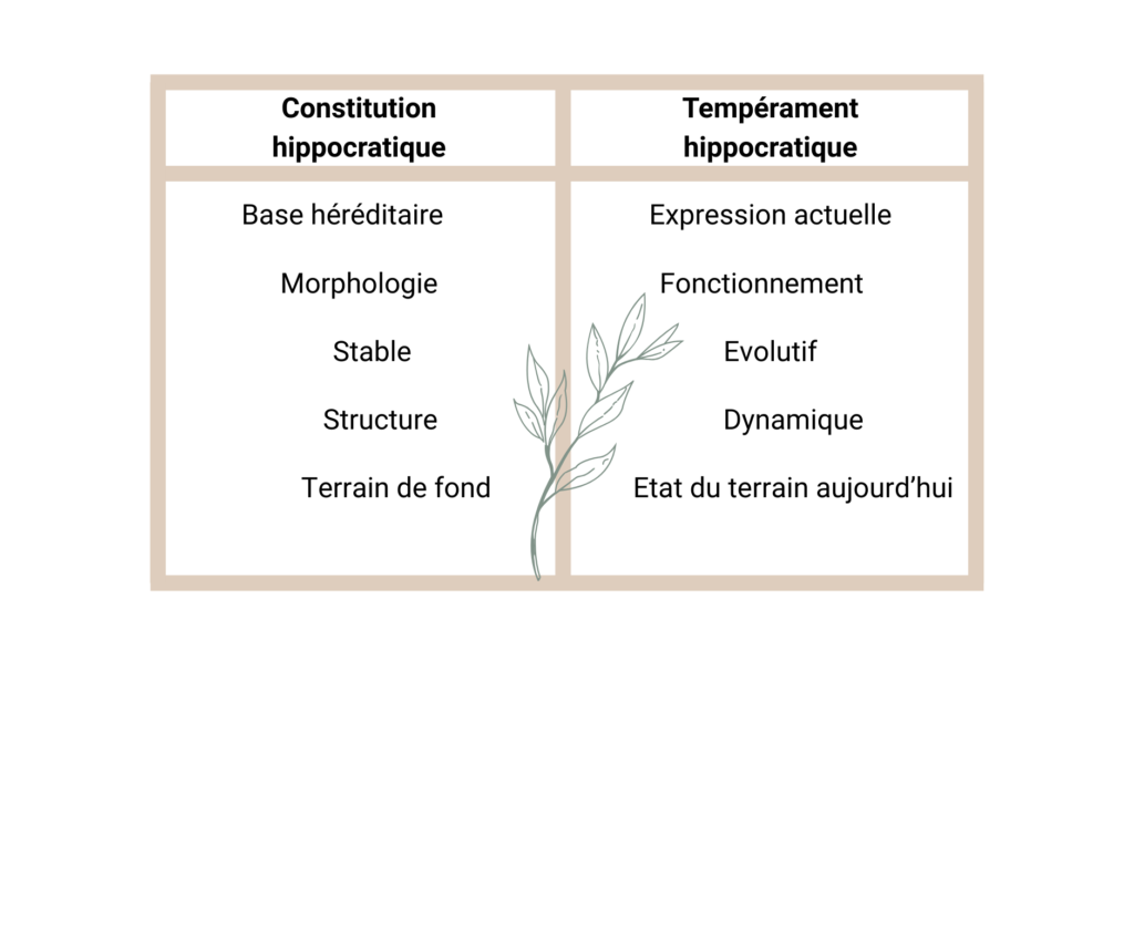 Copie de Copie de Copie de Copie de 1 (4)
