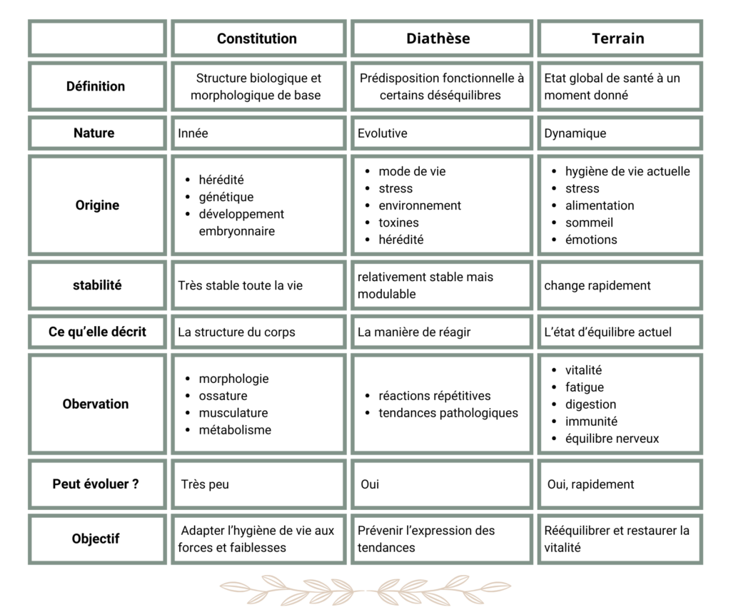 Copie de Copie de Copie de Copie de Copie de